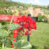 Отель Posada La Solana, фото 14