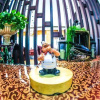 Отель Jinhai International Business Hotel, фото 5