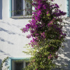 Отель Casa Del Mar Bodrum, фото 19