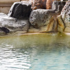 Отель HInaguonsen Yanagiya Ryokan, фото 10