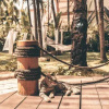 Отель Sanya Neighborhood Return to Nature Homestay (Haitang Bay Duty Free City Branch), фото 4