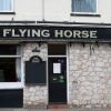 Отель Flying Horse, фото 1