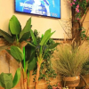 Отель Yiyang Hotel (Yiling Wanda Plaza, Yichang Three Gorges Enterprise Base), фото 15