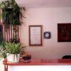 Отель Árbol de Fuego Eco-hotel, a green experience in the city, фото 17