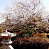 Отель Garden Palace, фото 11