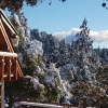 Отель Wl Lodge, фото 3