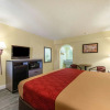 Отель Econo Lodge San Marcos University Area, фото 5