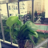 Отель Sanya Rainbow Footprint Guesthouse, фото 5