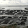 Отель Gîtes et Chambres dHôtes Les Fleurettes en Baie Du Mont Saint Michel, фото 17