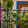 Отель Hacienda Valentino, фото 11