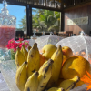 Отель Palm Beach Caetanos, фото 13