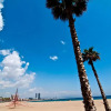 Отель Barceloneta Suites Apartments Beach, фото 10