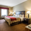 Отель Quality Inn Greenville North, фото 5