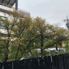 Отель Green House, фото 26