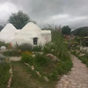 Отель Cocoons Hostel, фото 1