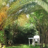 Отель Agriturismo Casale Trigoria, фото 6