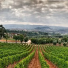 Отель Terenzi Hospitality & Wine, фото 29