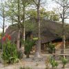 Отель Tsumkwe Lodge в Цумкве