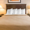 Отель Quality Inn & Suites Next to the Casino, фото 6