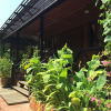 Отель Baan Kong Homestay, фото 1