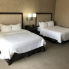 Отель Hampton Inn & Suites Tampa Busch Gardens Area, фото 6