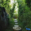 Отель Qiwan Mindfulness No.1, фото 10