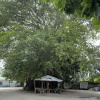 Отель Saima Guesthouse, фото 15