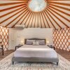 Отель Ot 3515a Texas Yurt Haus: Armadillo 1 Bedroom Cabin by Redawning, фото 1