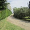 Отель Mas Maurane Chambre d'hôtes, фото 17