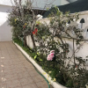 Отель Baia Verde Suite low Cost 2, фото 1