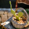 Отель Trullo Volare, фото 18