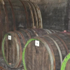 Отель Weingut Gindorf, фото 12