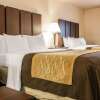 Отель Comfort Inn & Suites, фото 4