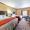 Отель Quality Inn & Suites, фото 14