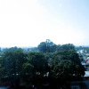 Отель Treebo Trinetar International, фото 22