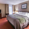 Отель Comfort Inn, фото 29