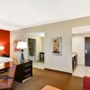 Отель Hampton Inn & Suites Tampa Northwest/Oldsmar, фото 6