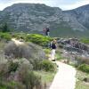 Отель Milkwood Lodge - Hermanus, фото 19