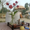 Отель Xinyang Pingqiao Smile Inn, фото 2