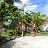 Отель Bamboleo Inn Belize, фото 19