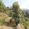 Отель OYO 13785 Home Boutique 2BHK Ramgarh Nainital, фото 12