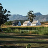 Отель Rijks Wine Estate and Hotel, фото 33