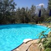 Отель Farmhouse in a Lovely Park Near Florence With Beautiful Pool Among Olive Trees, фото 24