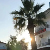 Отель Otel Denizyildizi, фото 1