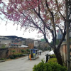 Отель Kunming LiuxiaChunshu Hostel, фото 41