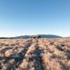 Отель Peak View Cabin - Ben Ohau - Stylish Seclusion, фото 21