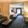 Отель Comfort Suites Arlington - Entertainment District, фото 5
