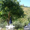 Отель Agriturismo Podere Cappella, фото 1