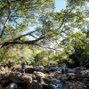 Отель Blouberg Camp, фото 12