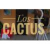 Отель Hospederia Los Cactus, фото 2